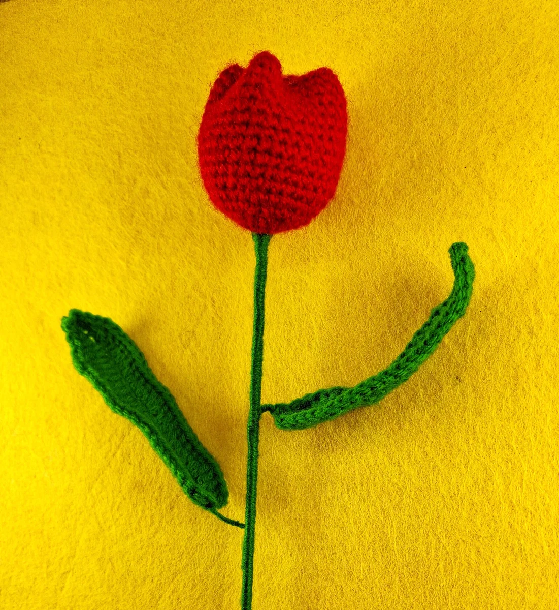 Red Tulip with Dual Leaves