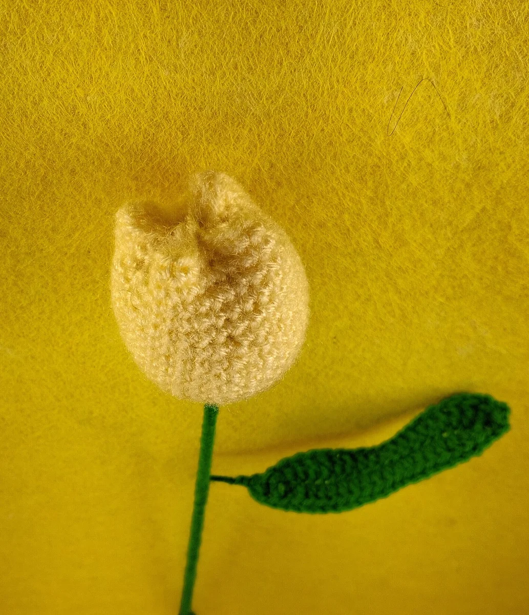 Pastel Yellow Tulip with a Leaf