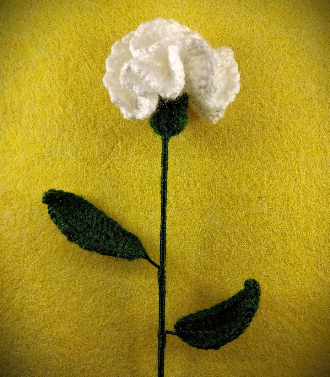 White Rose with Dual Leaves