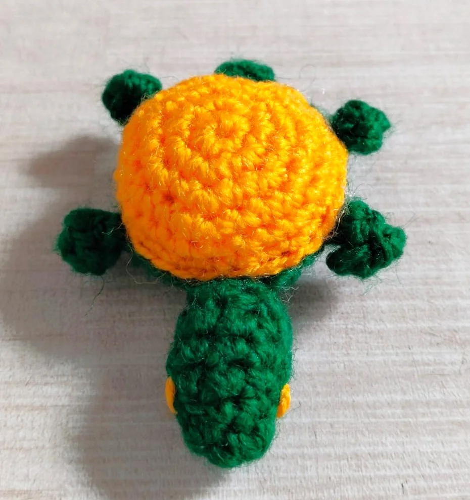 Turtle Toy