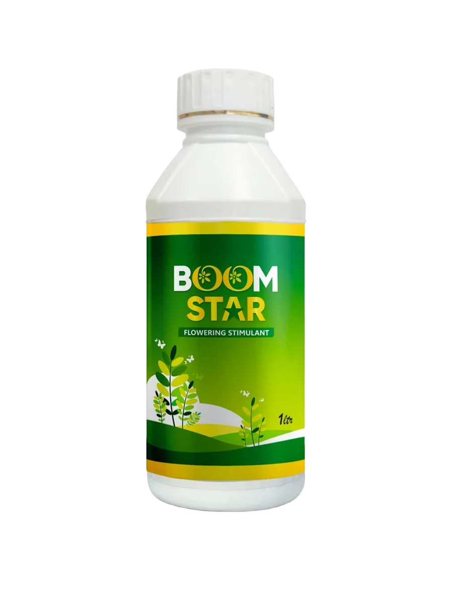 Growill Boom Star