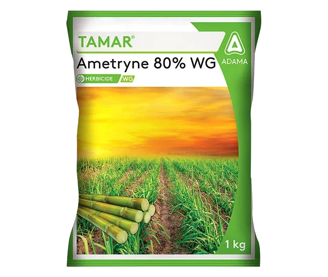 ADAMA Tamar – Ametryne 80% WDG