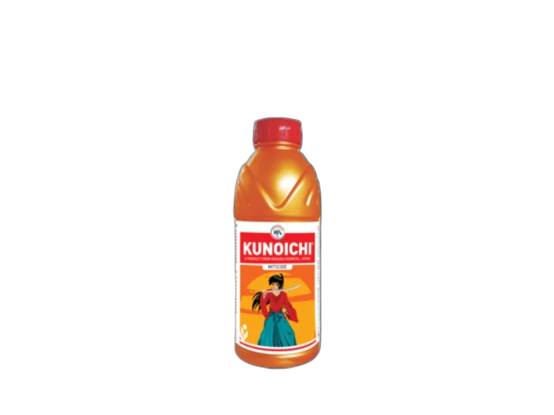 IIL kunoichi