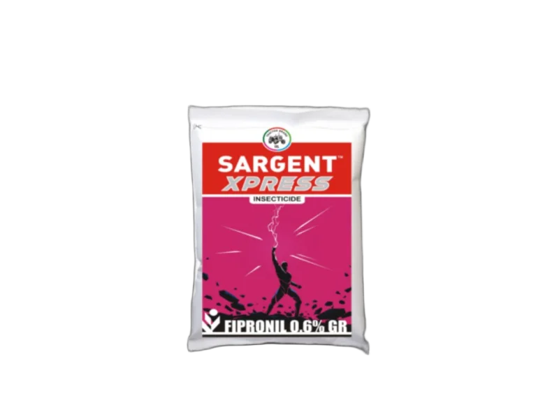 IIL Sargent Xpress