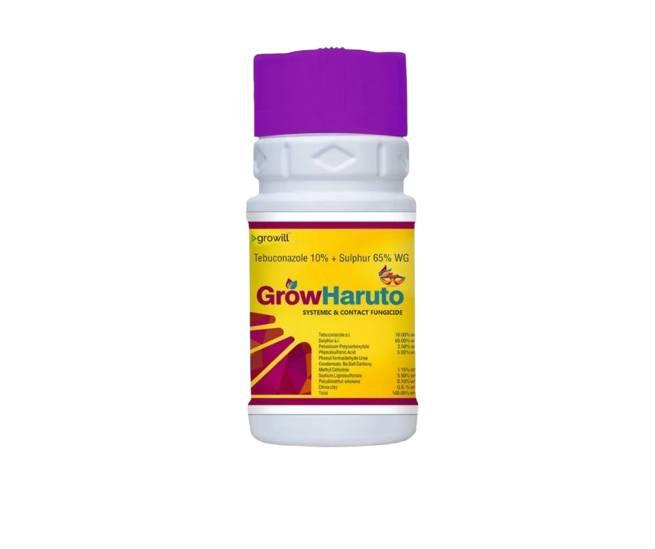 Growill Grow Haruto