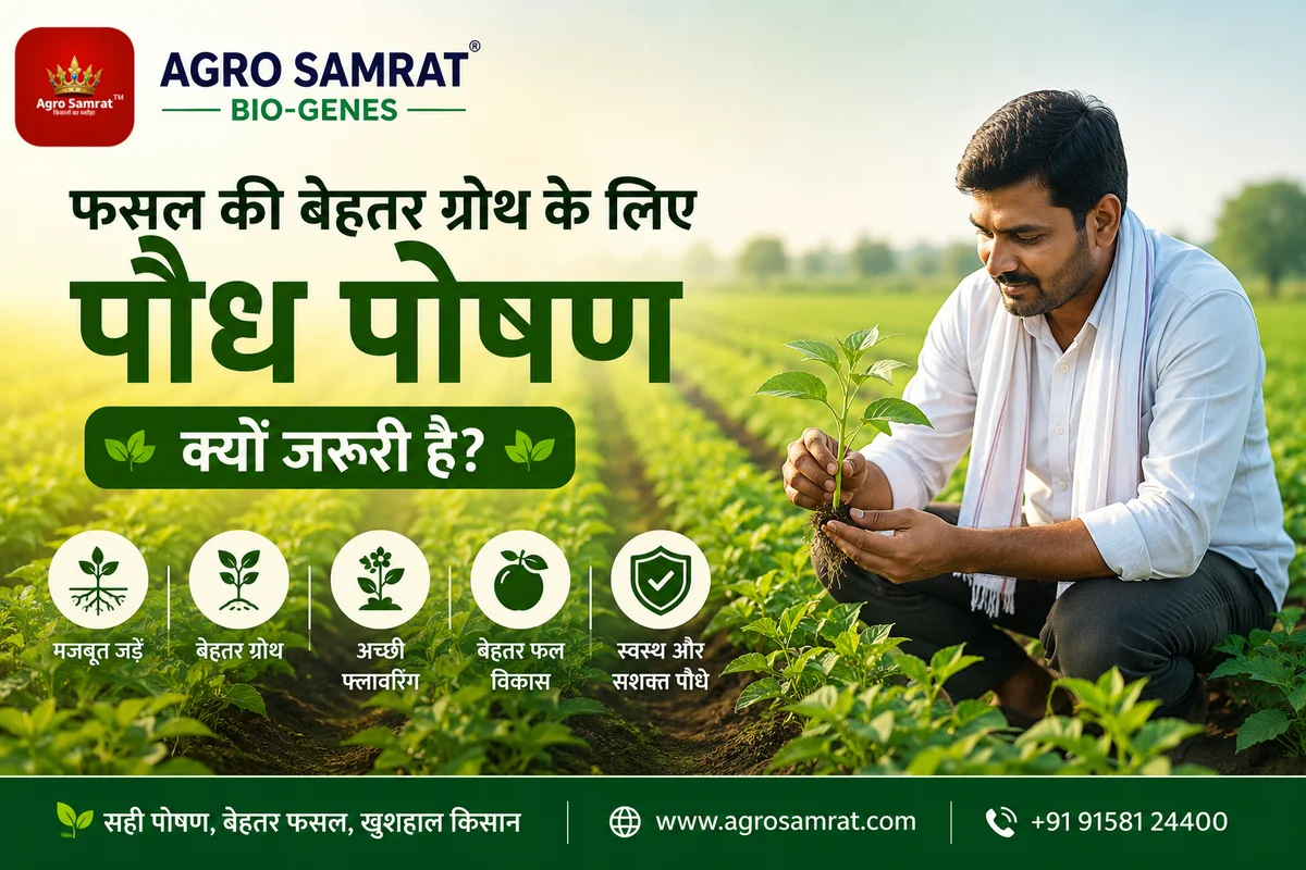 फसल की बेहतर ग्रोथ के लिए पौध पोषण क्यों जरूरी है?