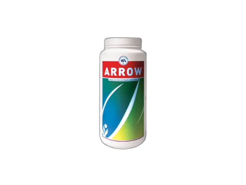 IIL Arrow