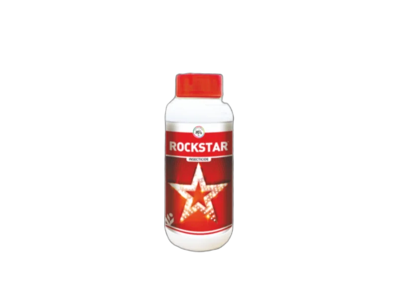 IIL Rockstar