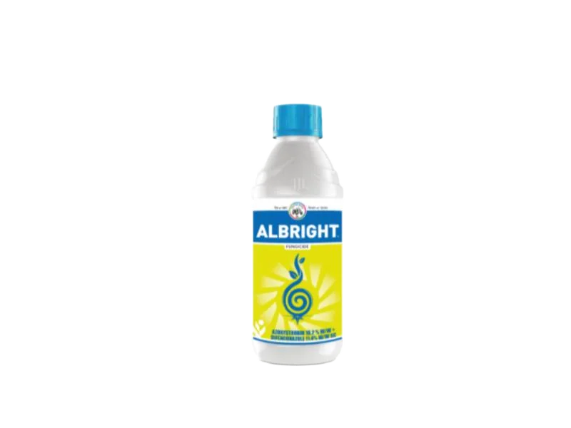 IIL Albright