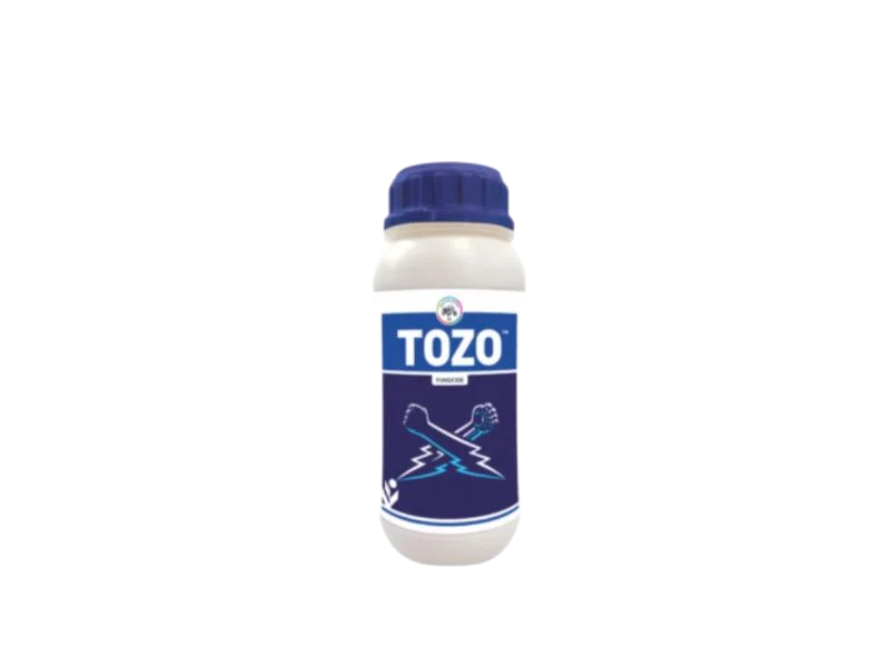 IIL Tozo