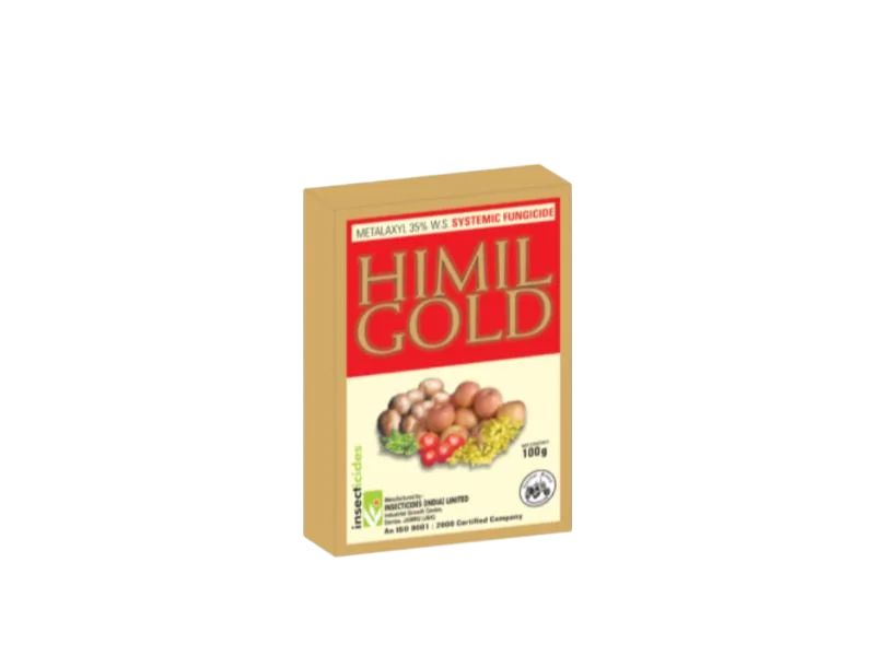 IIL Himil Gold