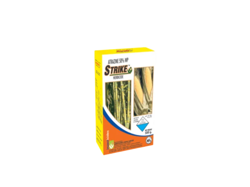 IIL Strike