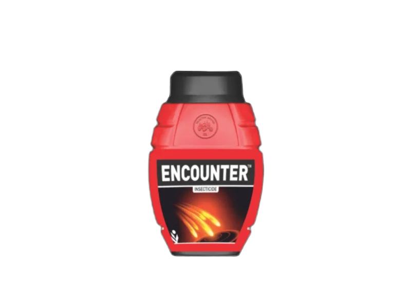 IIL Encounter