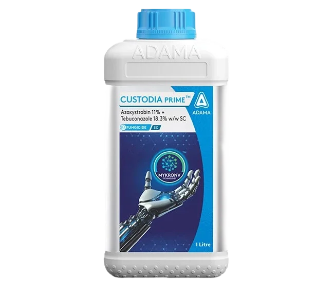 Adama Custodia Prime - Azoxystrobin 11% + Tebuconazole 18.3% w/w SC