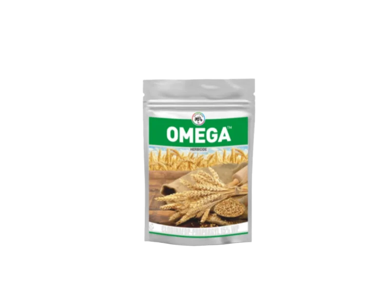IIL Omega