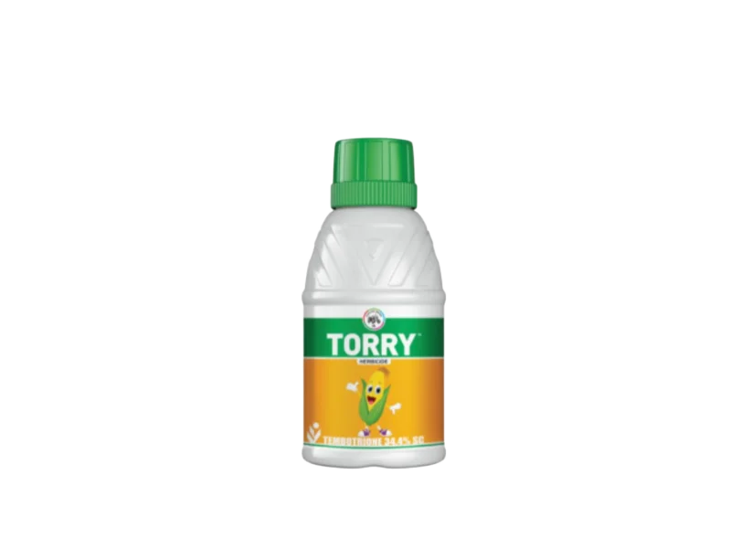 IIL Torry