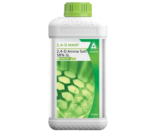ADAMA 2,4-D Main – 2,4-D Amine Salt 58% SL Selective Systemic Herbicide