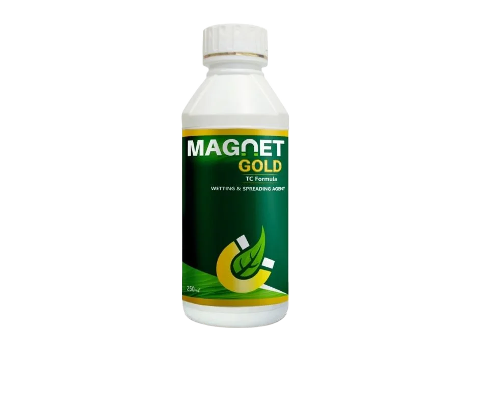 Growill Magnet Gold