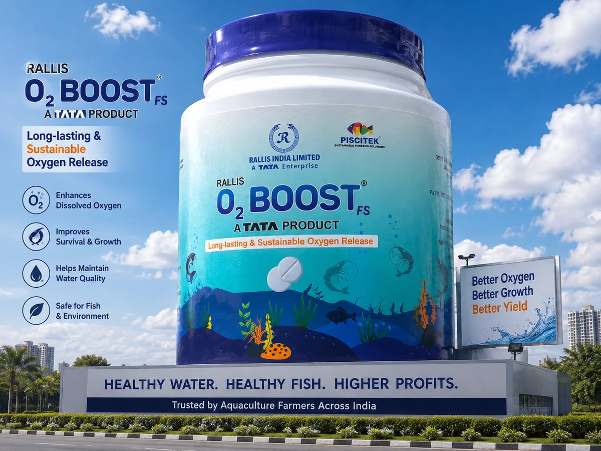 Faizan Aquaculture