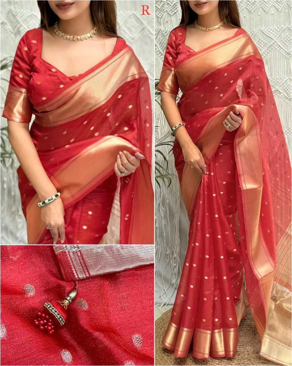 DT-Banarasi organza silk with zari border
