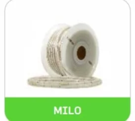 220V [120 LED /MTR]  50MTR