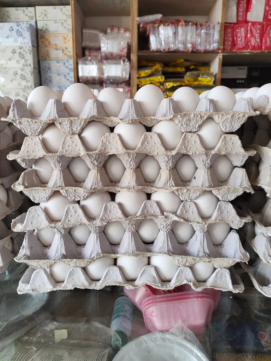 Egg 2