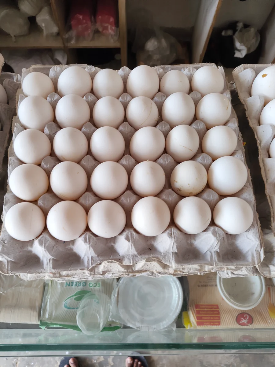 Egg