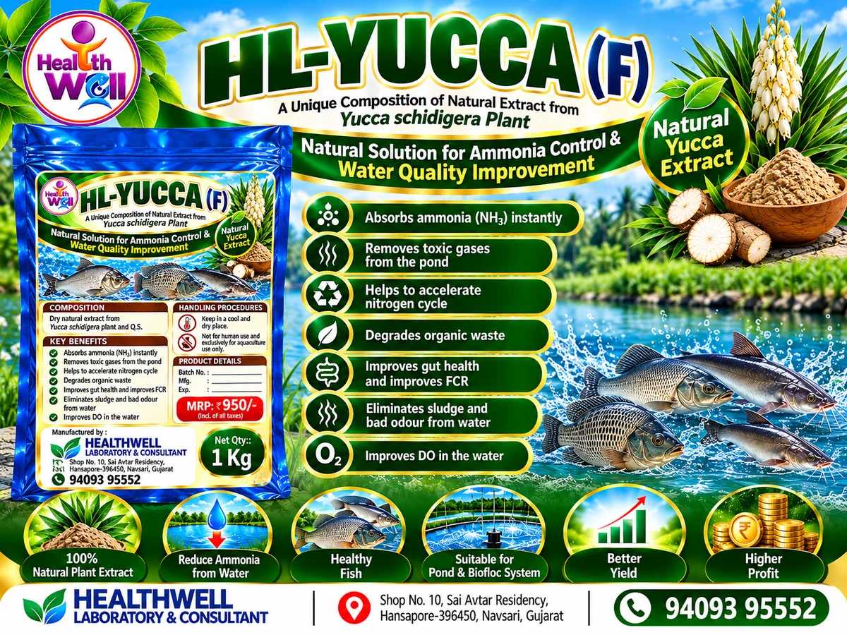 HL-YUCCA (F)
