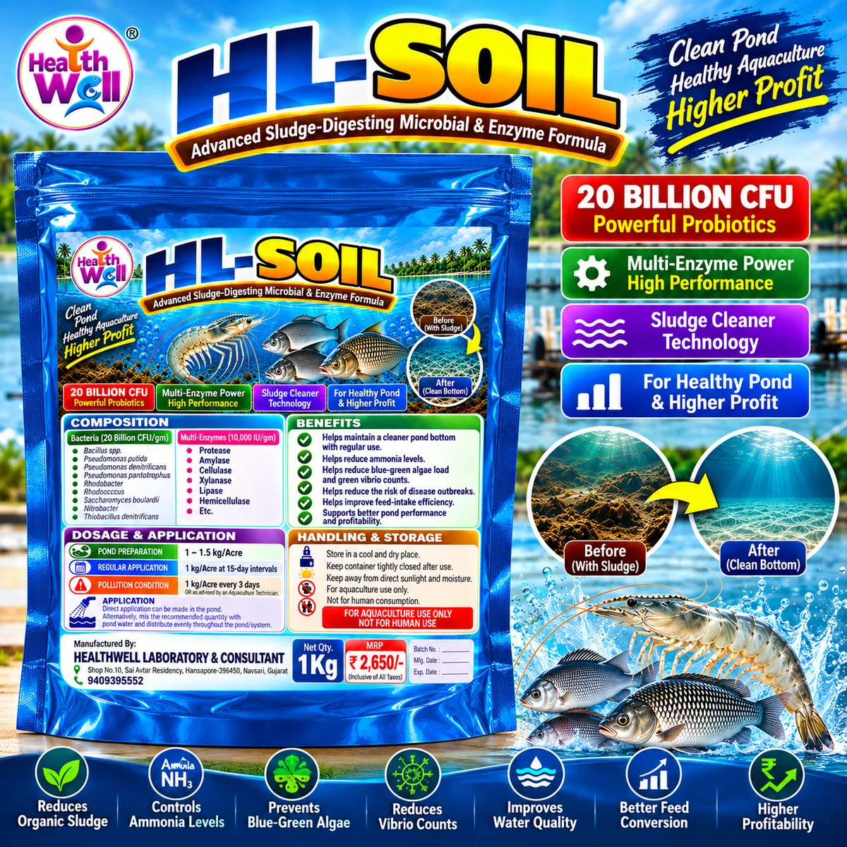 HL-SOIL