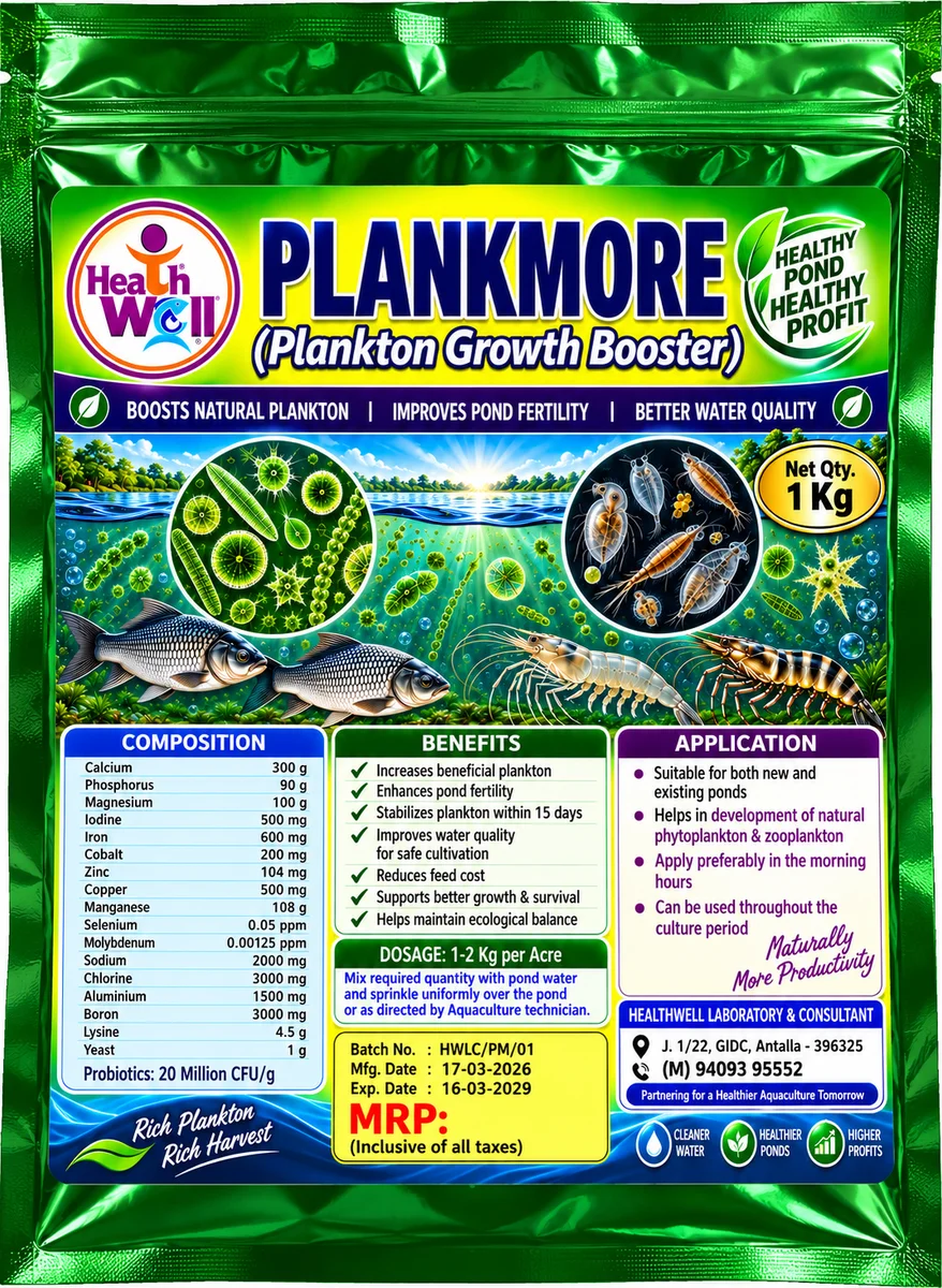 PLANKMORE