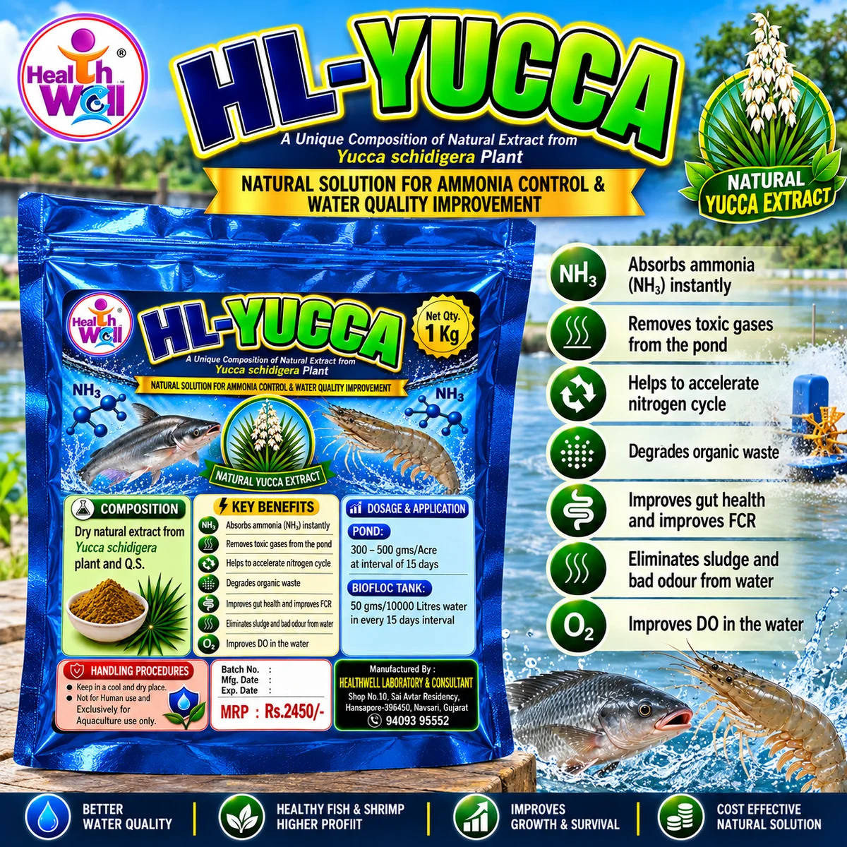 HL-YUCCA