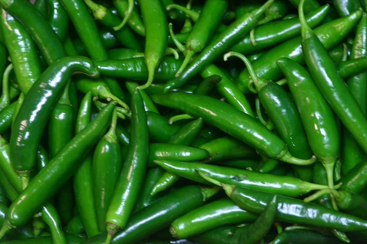 Green chilly/ಹಸಿರು ಮೆಣಸಿನಕಾಯಿ