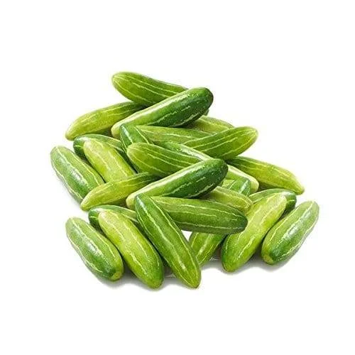 Ivy gourd 2
