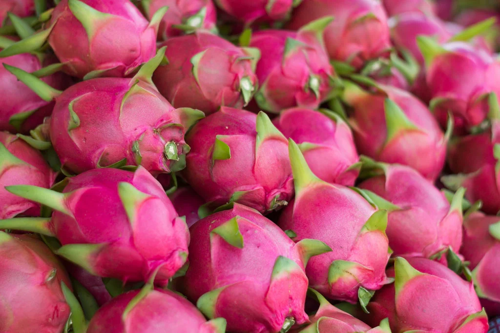 Dragon fruit 2