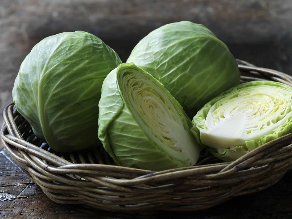 Cabbage/ಎಲೆ ಕೋಸು