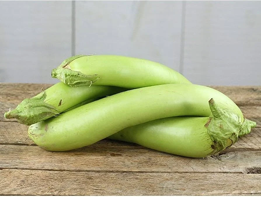 Light green brinjal 2