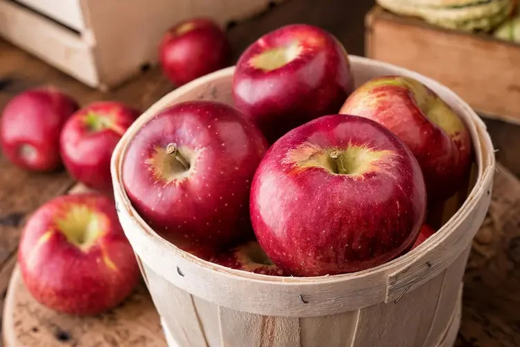 Apple 2