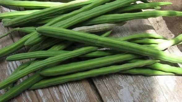 Drumsticks/ನುಗ್ಗೆಕಾಯಿ