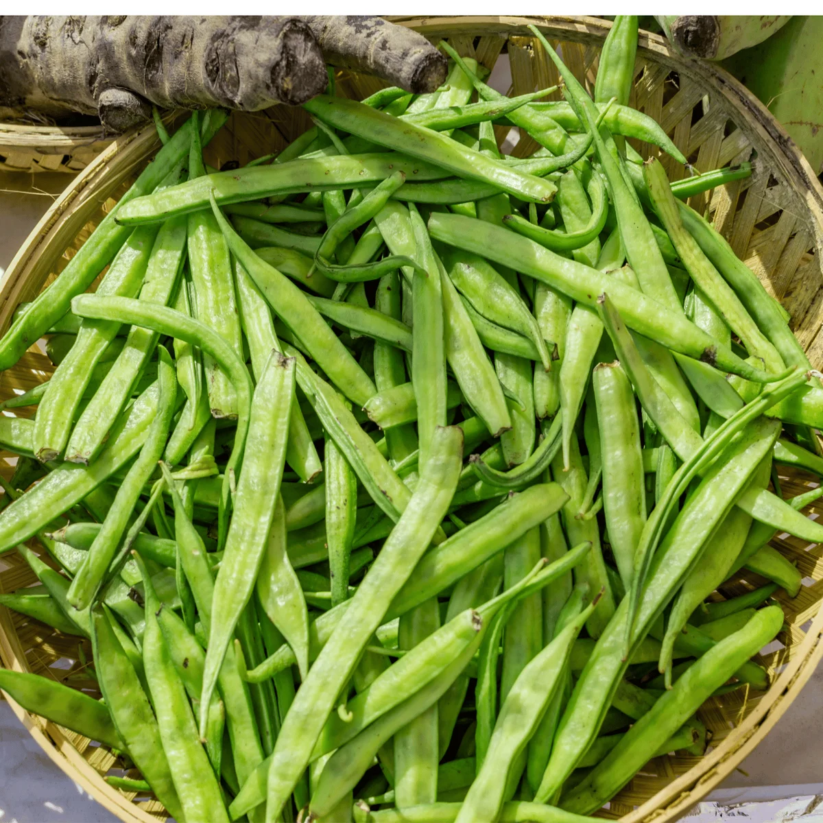 Cluster beans/ಗೋರಿ ಕಾಯಿ 2