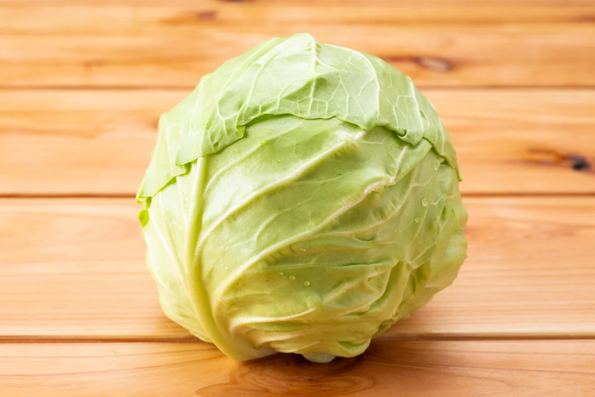 Cabbage 2