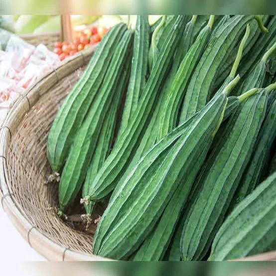 Ridge gourd/ಹೀರೆಕಾಯಿ