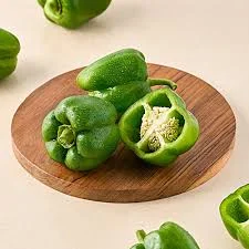 Capsicum/ಕ್ಯಾಪ್ಸಿಕಂ