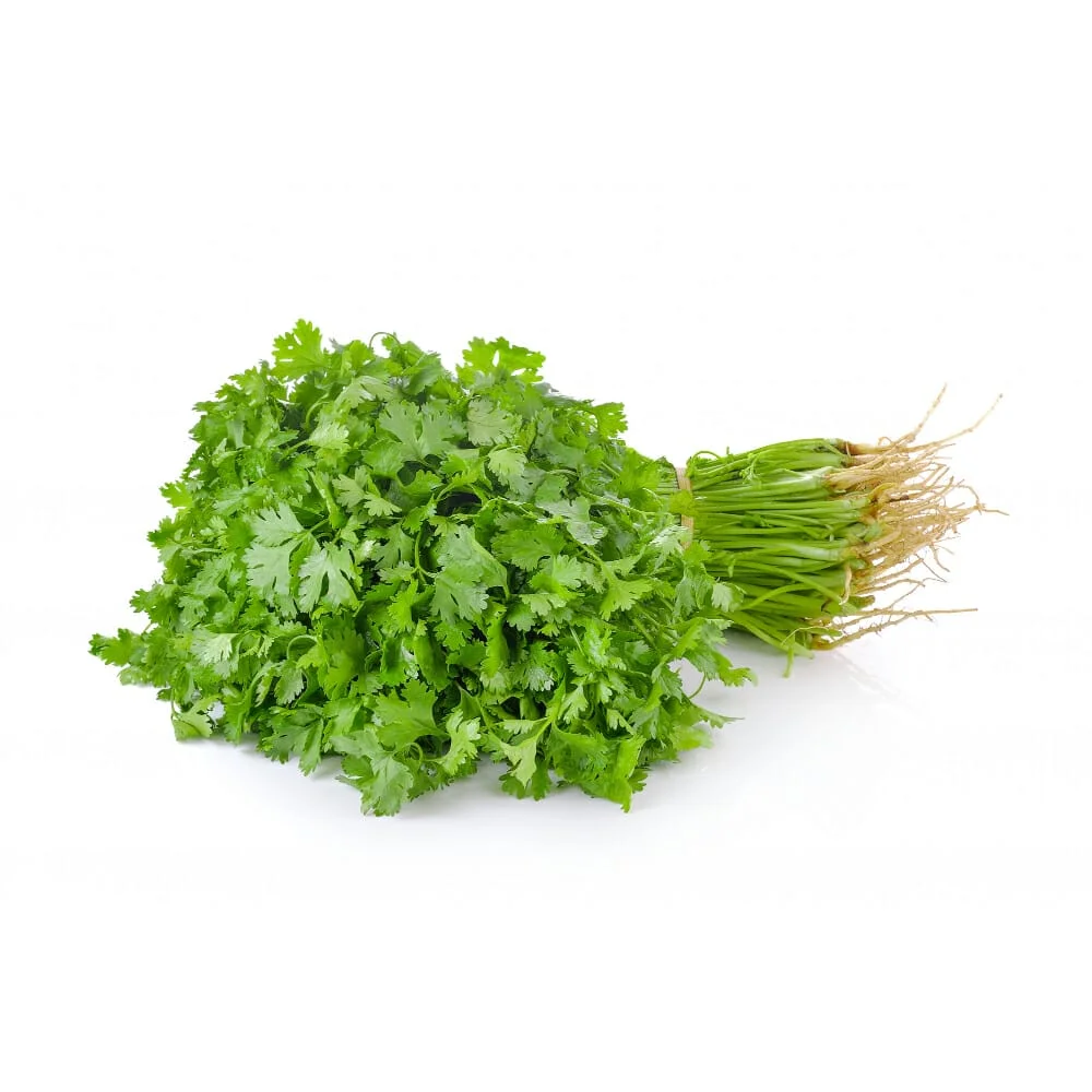Coriander 2