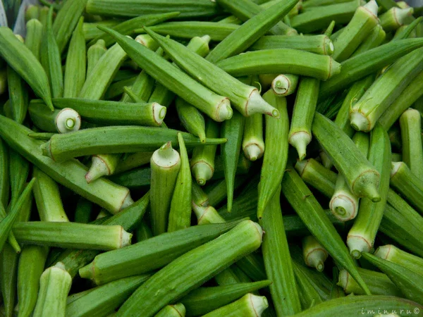 Ladies  finger/ಬೆಂಡೇಕಾಯಿ