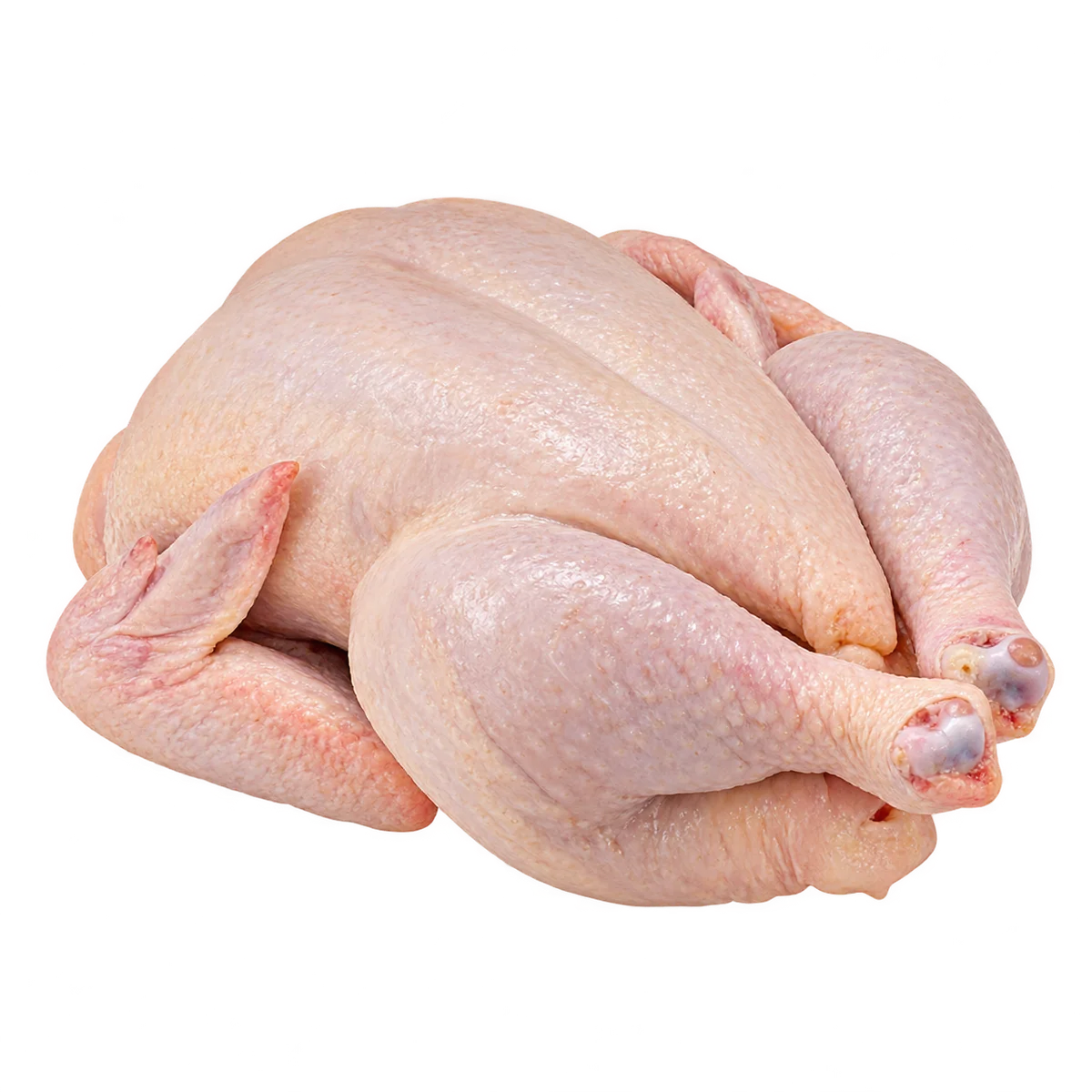 Fresh Chicken