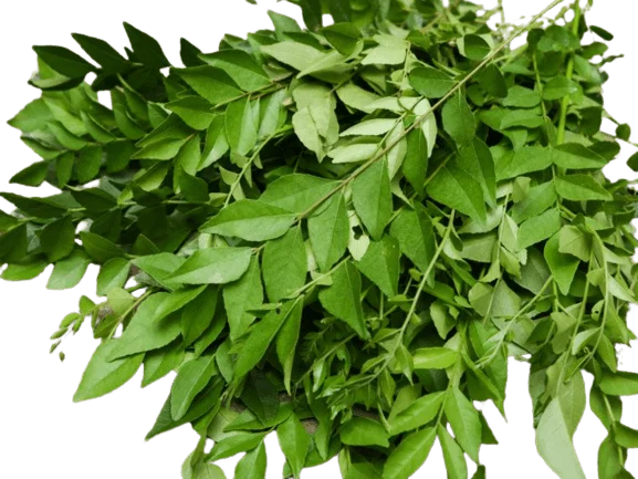 Curry leaves