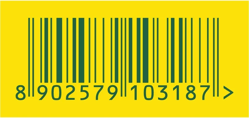 FROOTI Mango Juice 5