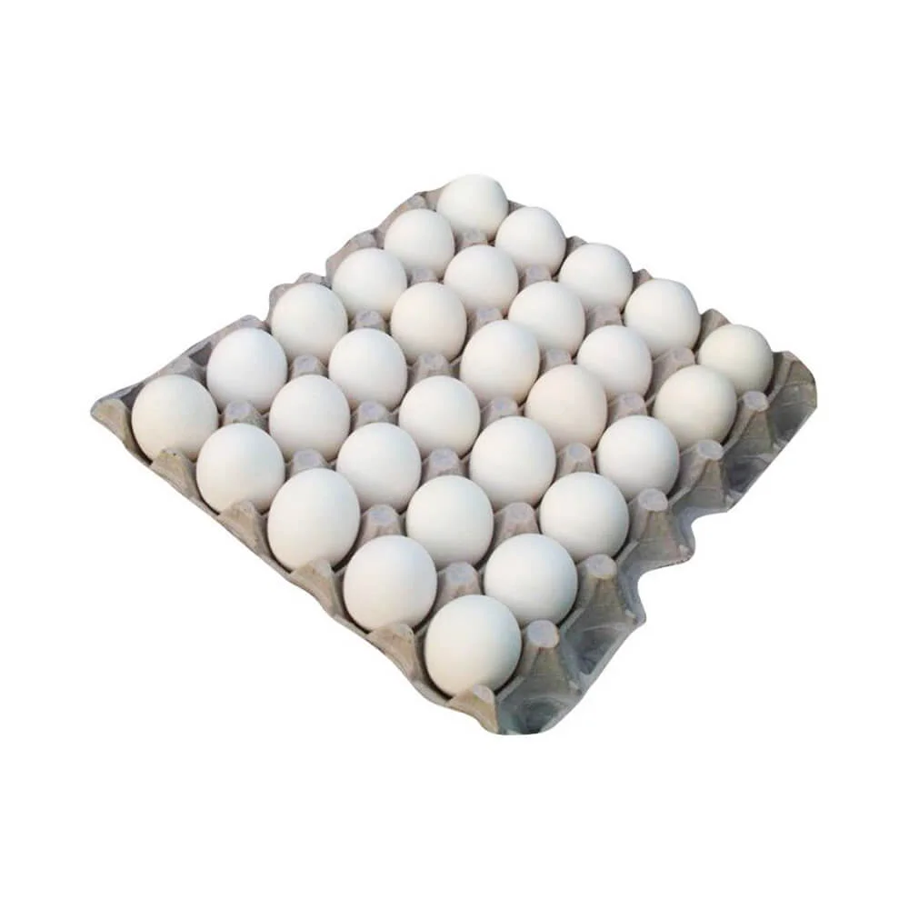Dairy & Eggs