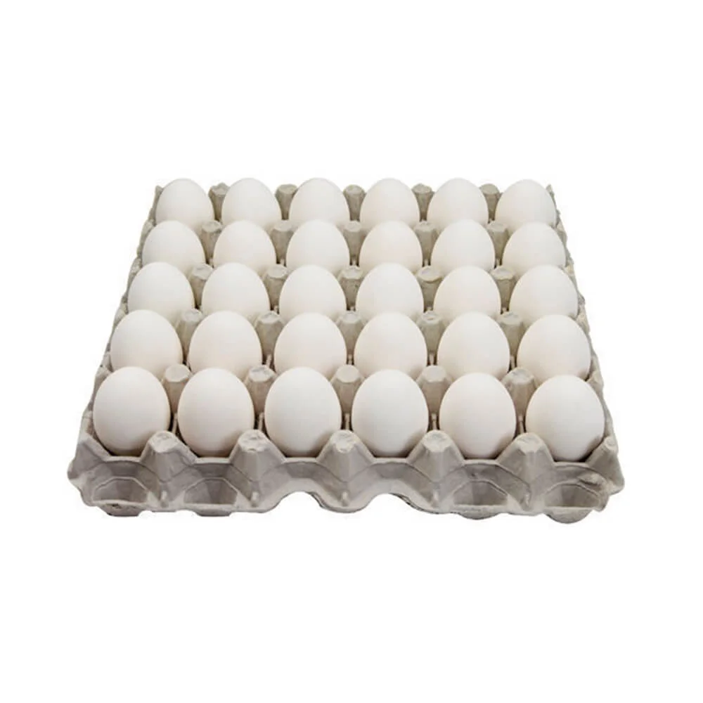 Eggs (dim) 2