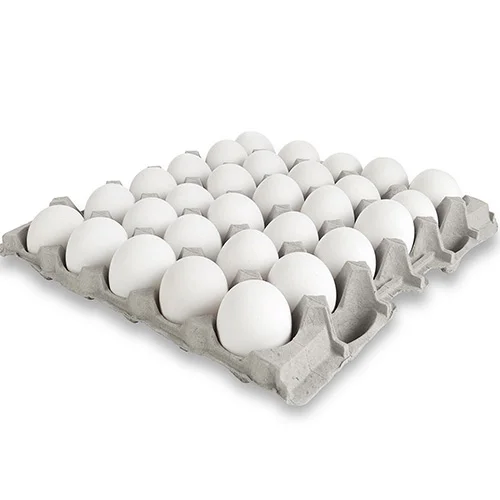 Eggs (dim) 3